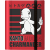 Charmander 9-Pocket PRO-Binder Ultra Pro – Album Carte Pokémon TCG (360 Carte)